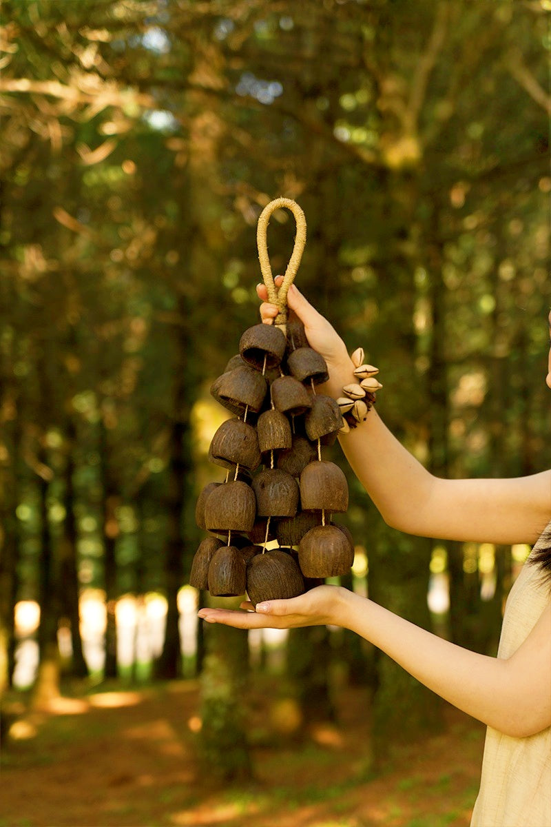 Bring the Rainforest Home