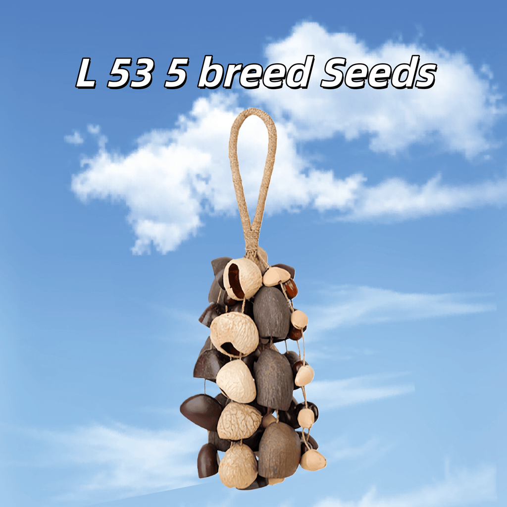 Seed Shaker | Handmade Entada, Pala Cardamom & Chacha Oleander Seed Shell Hand Bell– Natural Rainforest Sound