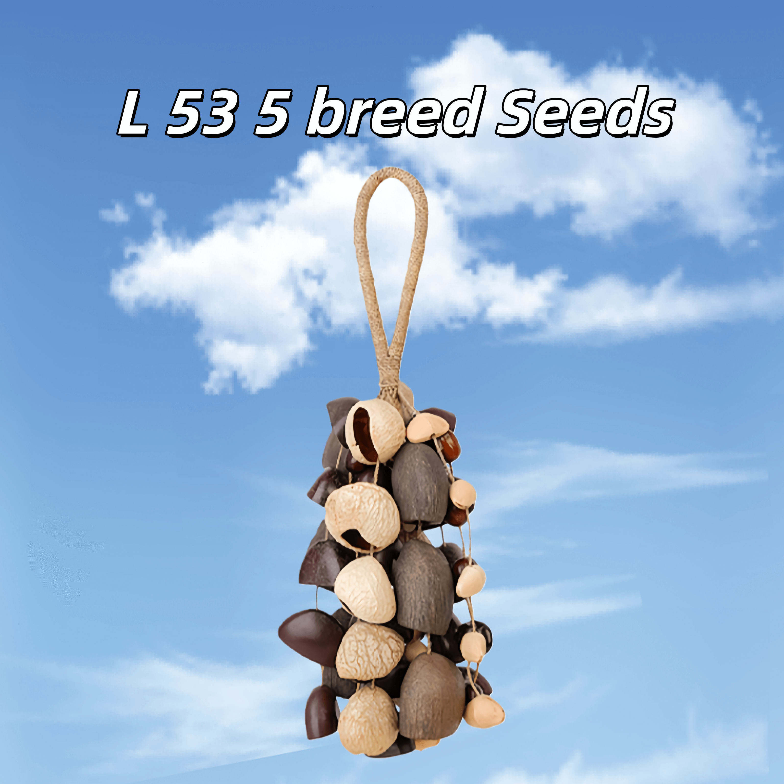 Seed Shaker | Handmade Entada, Pala Cardamom & Chacha Oleander Seed Shell Hand Bell– Natural Rainforest Sound