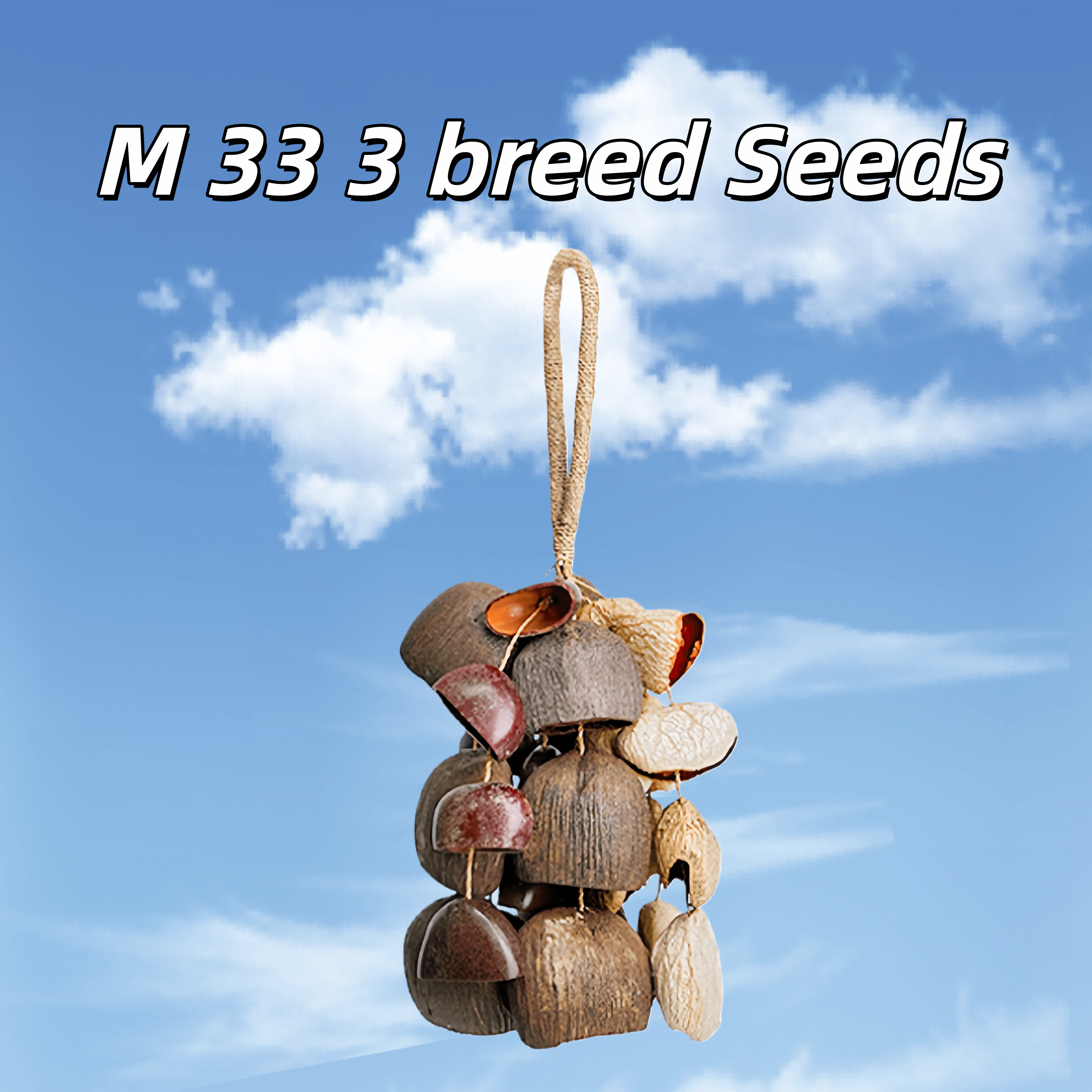 Seed Shaker | Handmade Entada, Pala Cardamom & Chacha Oleander Seed Shell Hand Bell– Natural Rainforest Sound