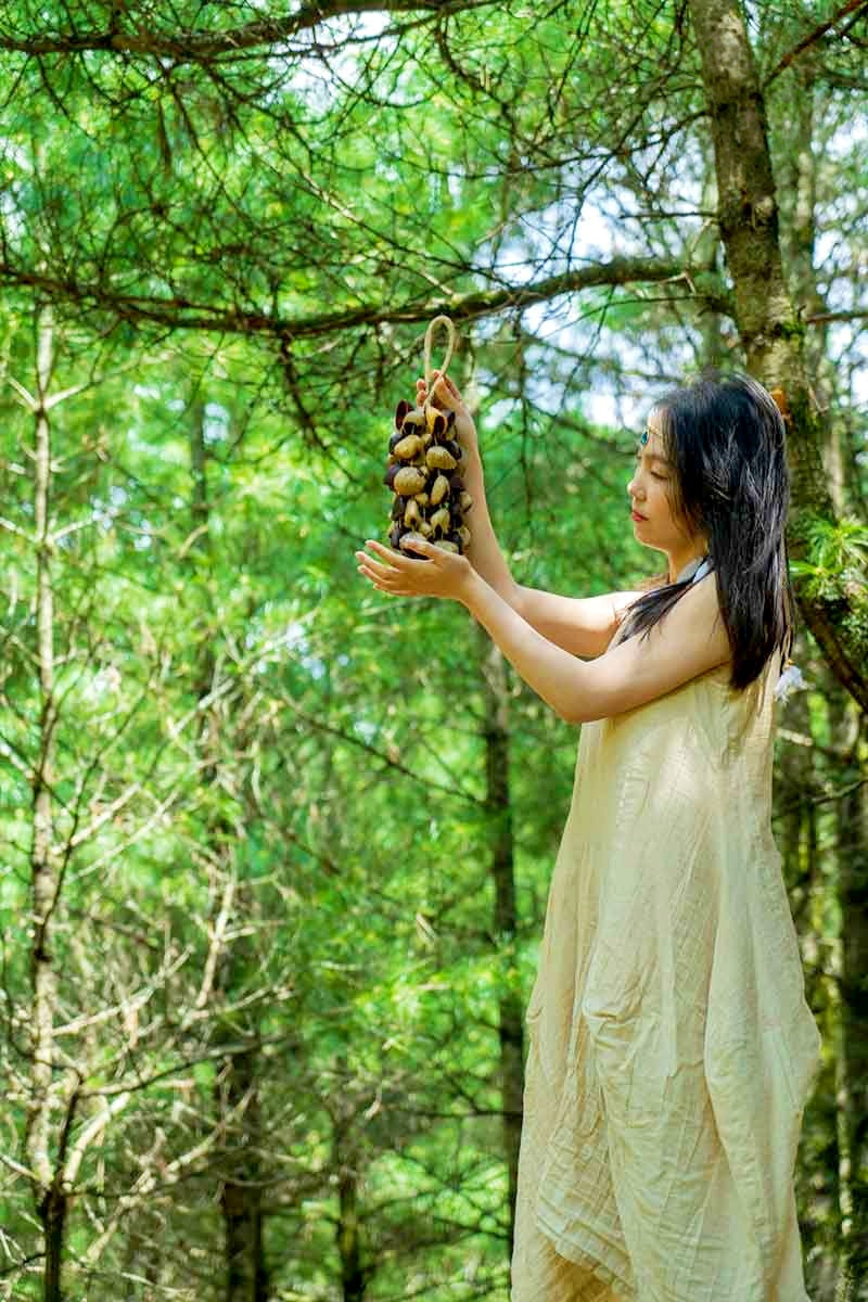 Seed Shaker | Handmade Entada, Pala Cardamom & Chacha Oleander Seed Shell Hand Bell– Natural Rainforest Sound