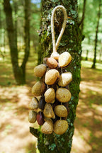 Seed Shaker | Handmade Entada, Pala Cardamom & Chacha Oleander Seed Shell Hand Bell– Natural Rainforest Sound