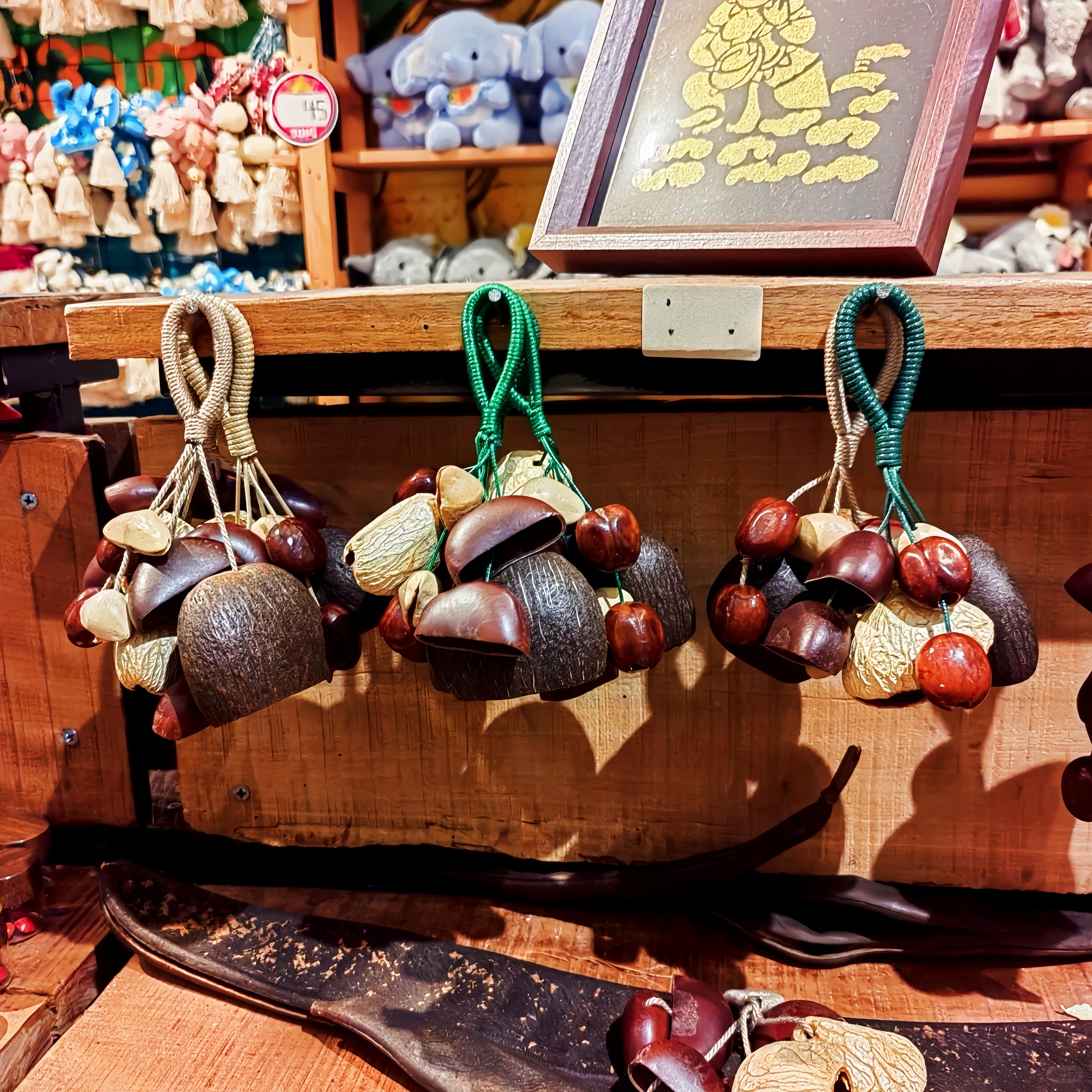 Seed Shaker | Handmade Tropical Rainforest Seed Pod Shaker with Rope Handle – Natural Shell Decor