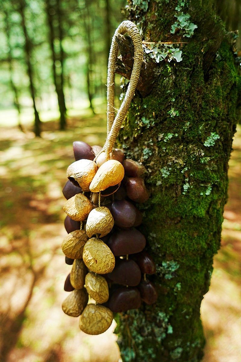 Seed Shaker | Handmade Entada, Pala Cardamom & Chacha Oleander Seed Shell Hand Bell– Natural Rainforest Sound