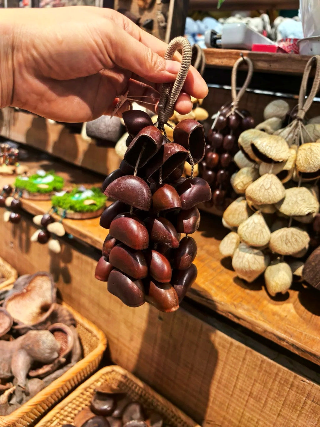 Seed Shaker | Handmade Entada, Cardamom & Oleander Seed Shell Wind Chime Hand Bell