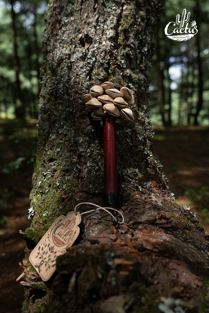 Handmade Chacha Oleander Seed Pod Wooden Handle Shaker – Rainforest Rhythm Instrument