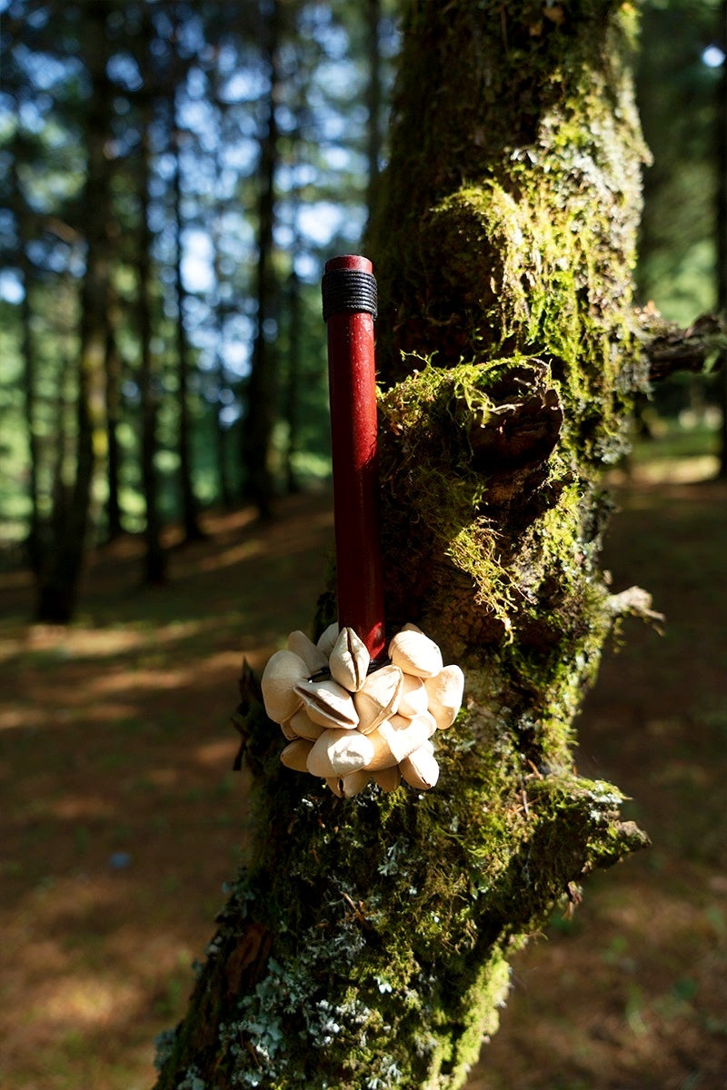 Handmade Chacha Oleander Seed Pod Wooden Handle Shaker – Rainforest Rhythm Instrument