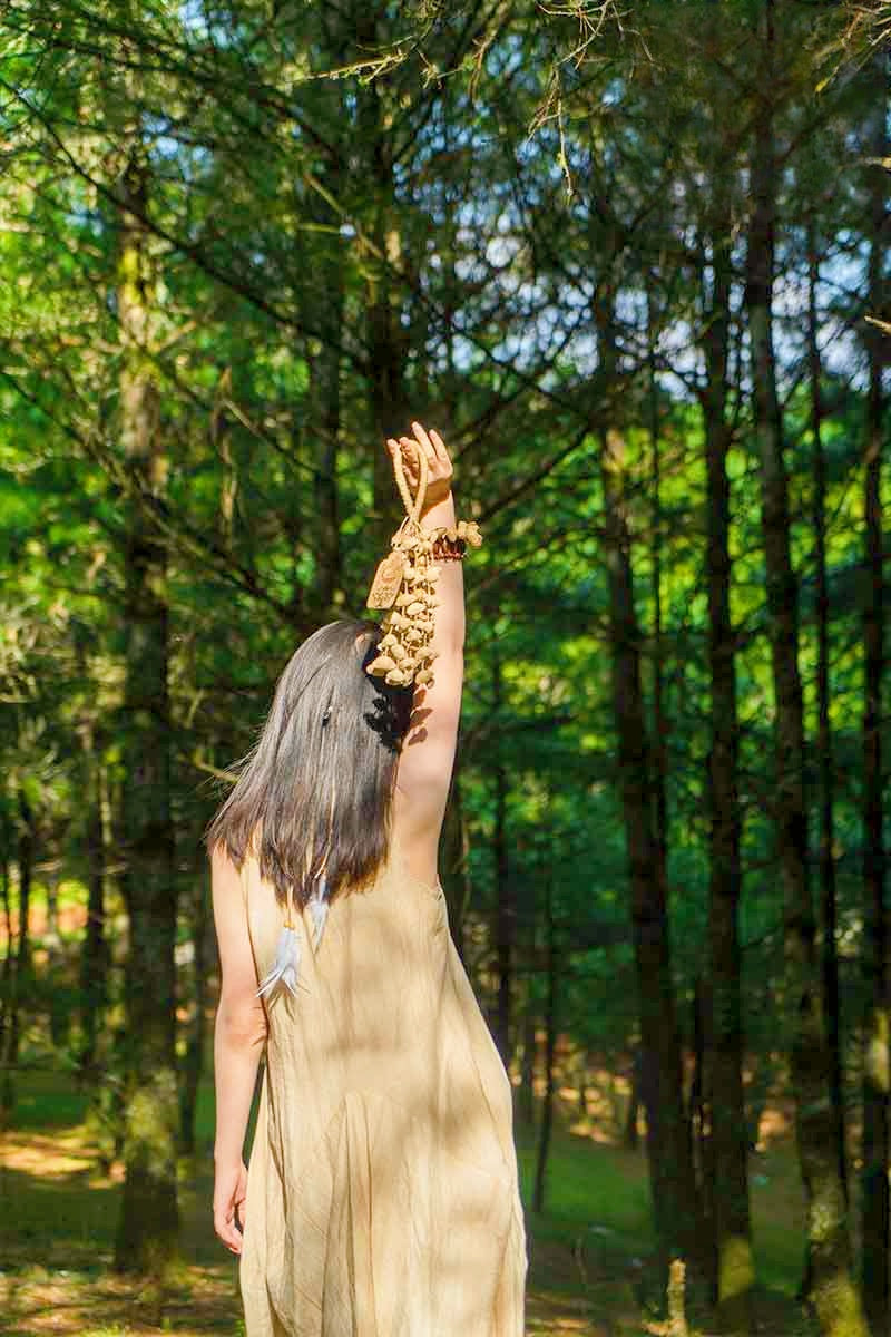 Seed Shaker | Handmade Chacha Oleander Seed Rope Hand Bell – Natural Rainforest Sound Decor