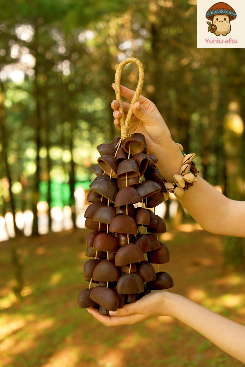 Seed Shaker | Handmade Juju Duckfoot Vine Seed Shell Hand Bell – Natural Rainforest Sound Decor