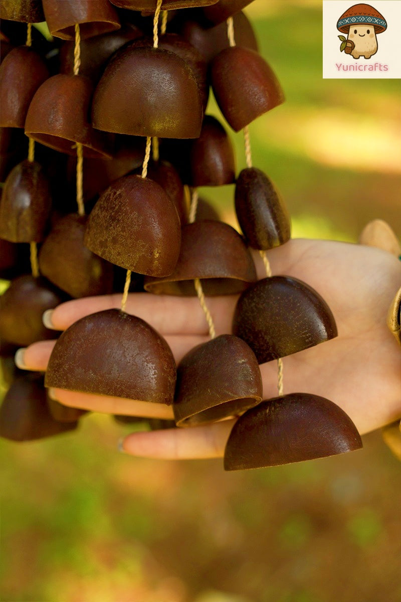 Seed Shaker | Handmade Juju Duckfoot Vine Seed Shell Hand Bell – Natural Rainforest Sound Decor