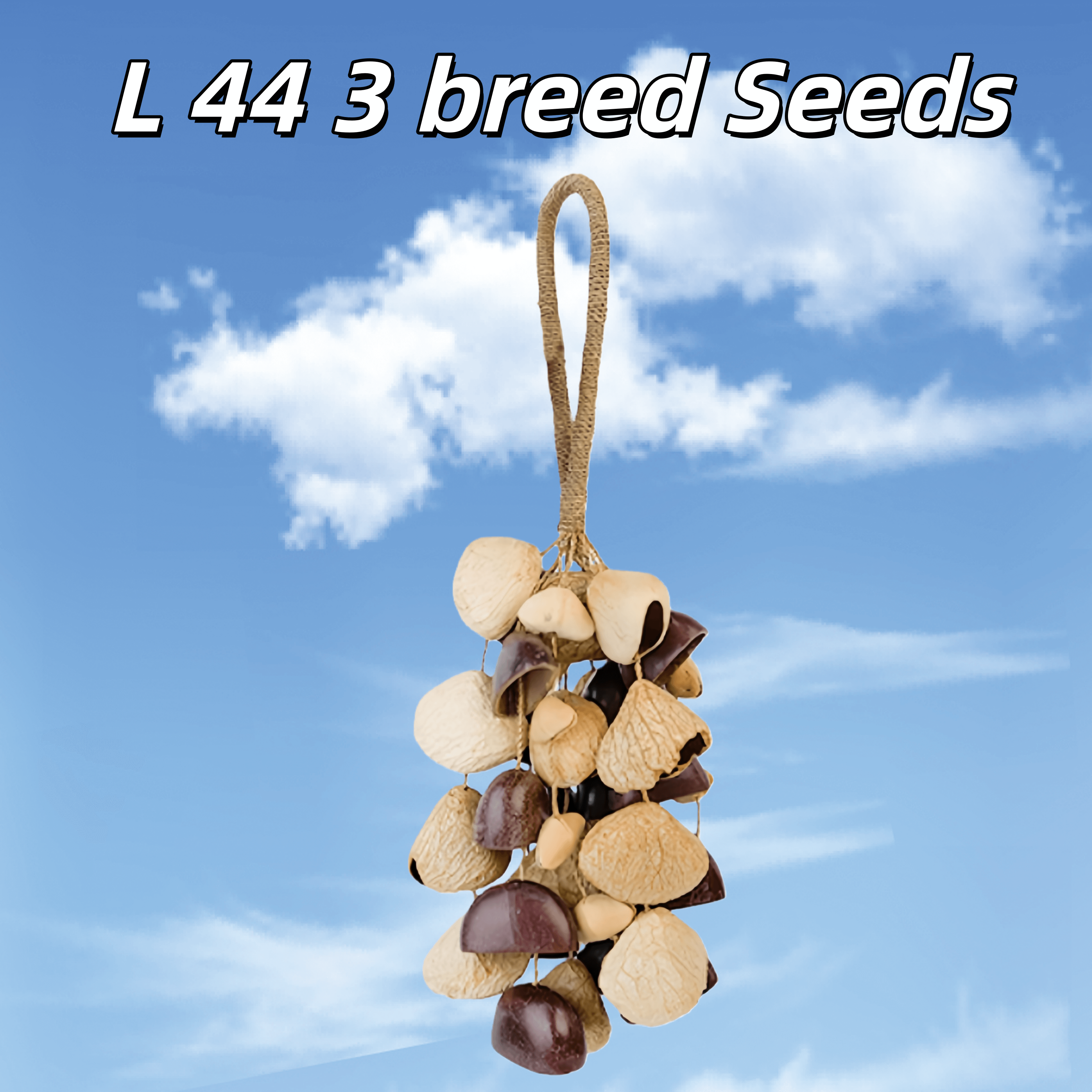 Seed Shaker | Handmade Entada, Pala Cardamom & Chacha Oleander Seed Shell Hand Bell– Natural Rainforest Sound