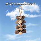 Seed Shaker | Handmade Entada, Pala Cardamom & Chacha Oleander Seed Shell Hand Bell– Natural Rainforest Sound