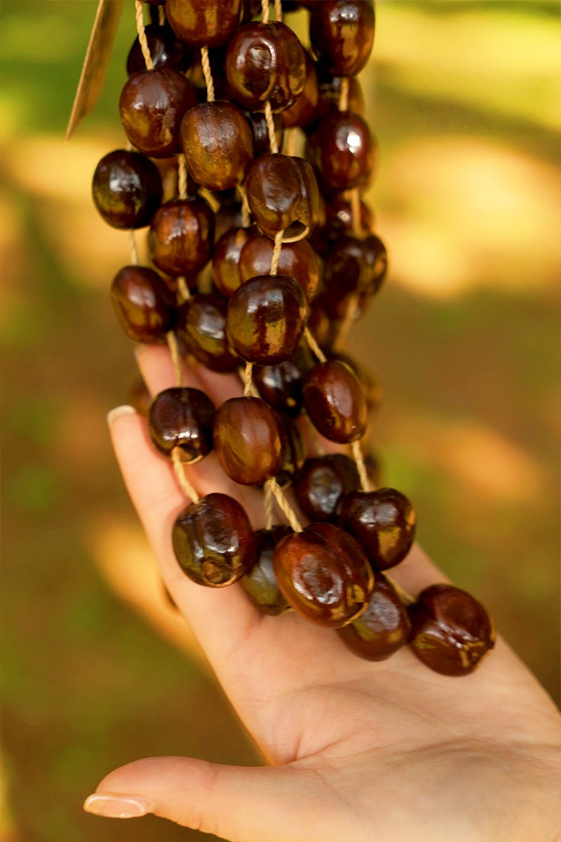 Seed Shaker | Handmade Pala Cardamom Seed Shell Hand Bell – Natural Rainforest Sound Decor