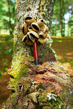 Handmade Panji White Fruit Seed Pod Wooden Handle Shaker – Natural Rhythm