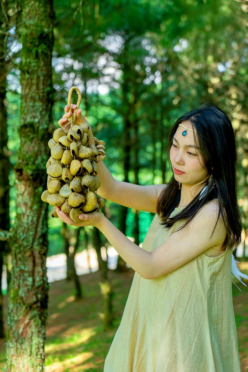 Seed Shaker | Handmade Panji White Fruit Seed Shell Hand Bell – Natural Rainforest Sound Decor