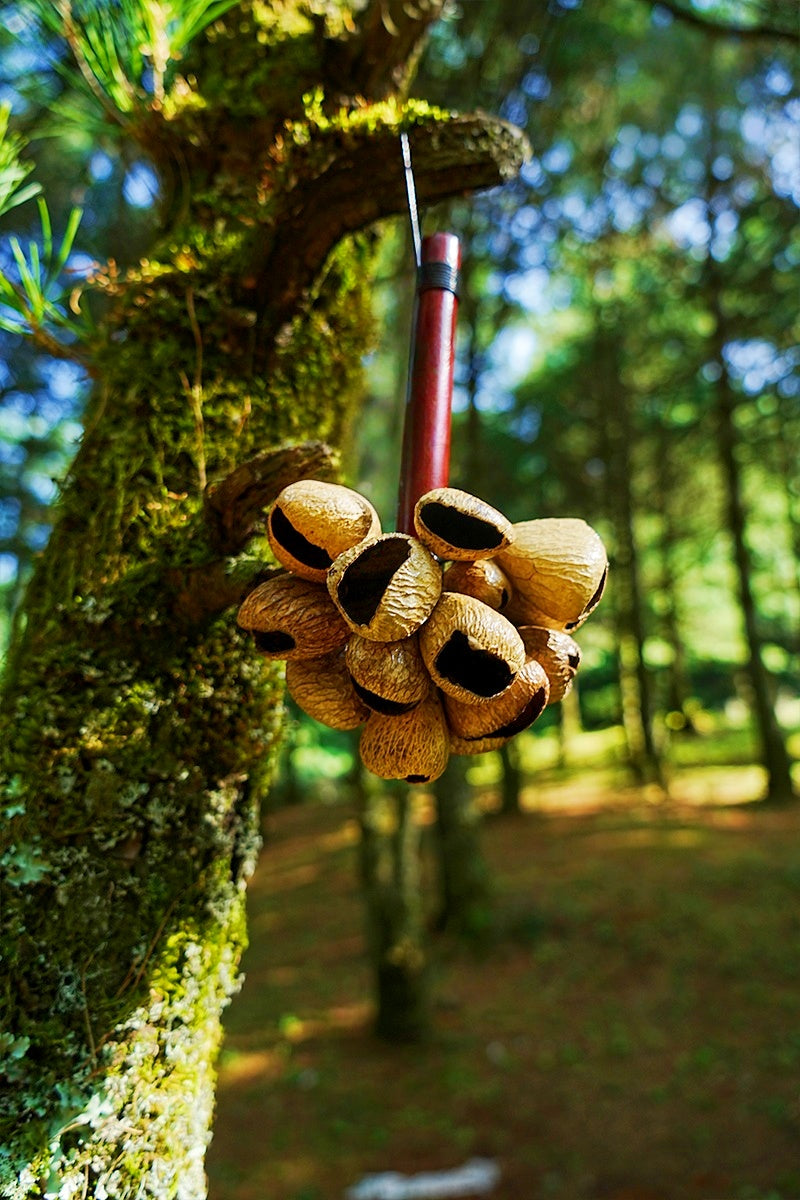 Handmade Panji White Fruit Seed Pod Wooden Handle Shaker – Natural Rhythm