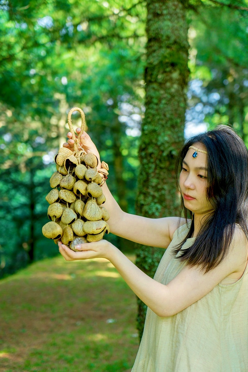 Seed Shaker | Handmade Panji White Fruit Seed Shell Hand Bell – Natural Rainforest Sound Decor