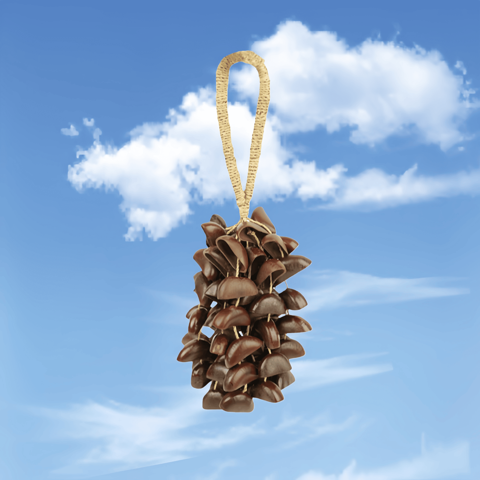 Seed Shaker | Handmade Juju Duckfoot Vine Seed Shell Hand Bell – Natural Rainforest Sound Decor