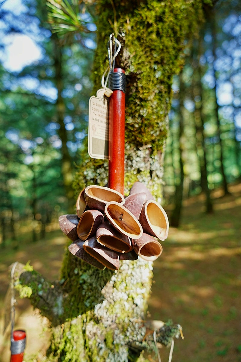 Handmade Juju Seed Pod Wooden Handle Shaker – Rainforest Natural Percussion