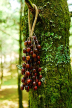 Seed Shaker | Handmade Pala Cardamom Seed Shell Hand Bell – Natural Rainforest Sound Decor