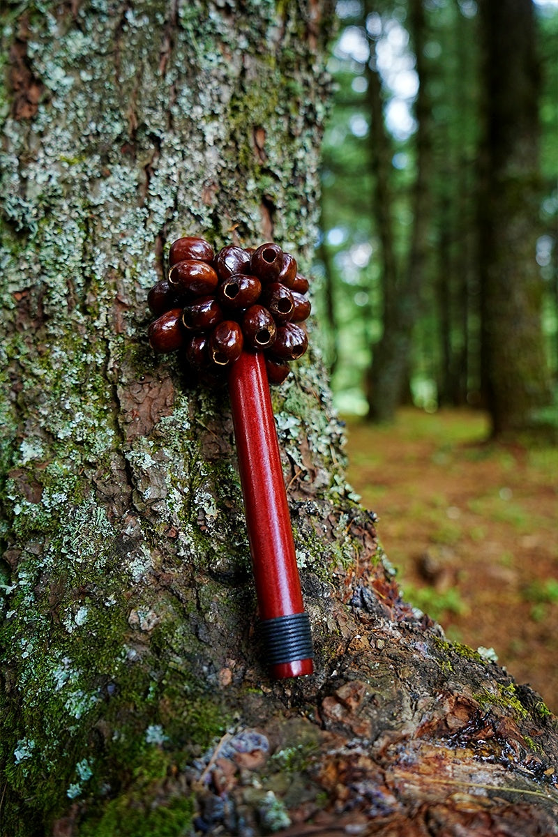 Handmade Pala Cardamom Seed Pod Wooden Handle Shaker – Rainforest Rhythm