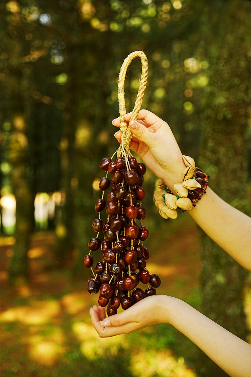 Seed Shaker | Handmade Pala Cardamom Seed Shell Hand Bell – Natural Rainforest Sound Decor